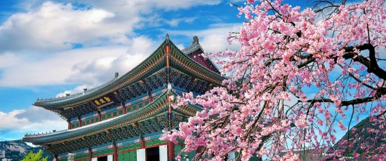 TOP 10 ĐIỀU KHIẾN DU HỌC SINH VIỆT NAM “SỐC VĂN HÓA” KHI ĐẾN HÀN QUỐC